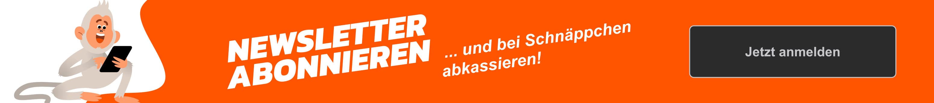 Newsletter Banner